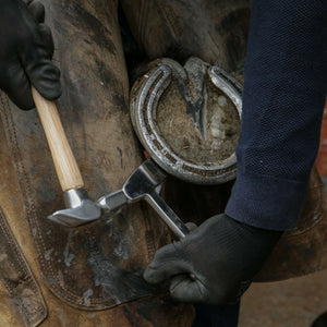 Farriers Equipment Tools | Modern Hoof Buffer | Right Left Clinch Cutter | Chrome Vanadium - Farriers Equipment