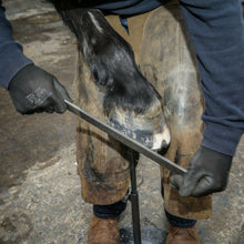 Load image into Gallery viewer, 14&quot; Excel Legend Horse Hoof Rasp | Farrier Tools - Farriers Equipment
